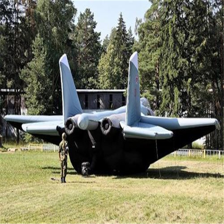 隆尧充气飞机模型